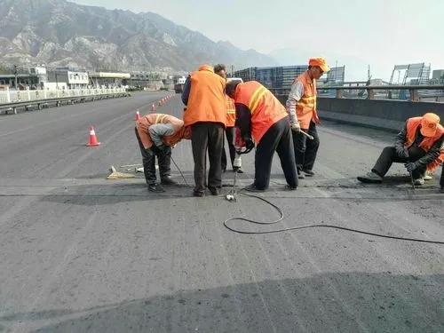 苏仙道路桥梁病害治理